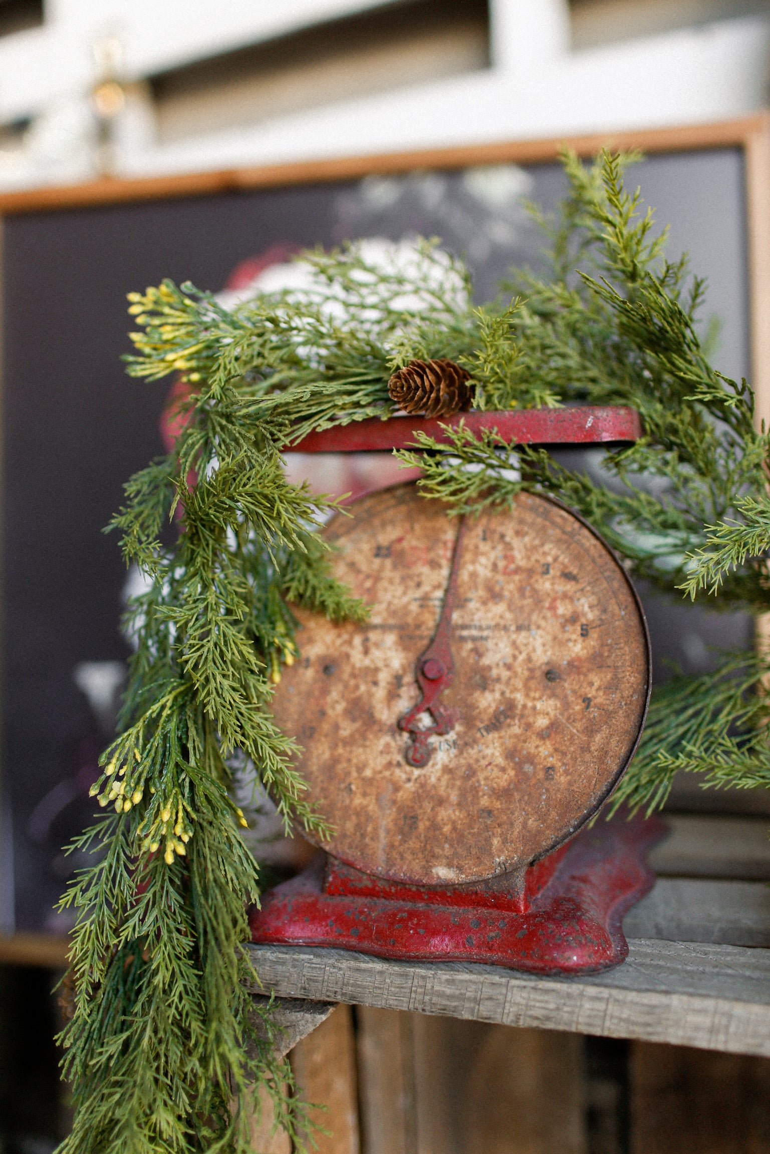 Alpine Cedar Garland
