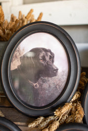 Hunting Dog Framed Print