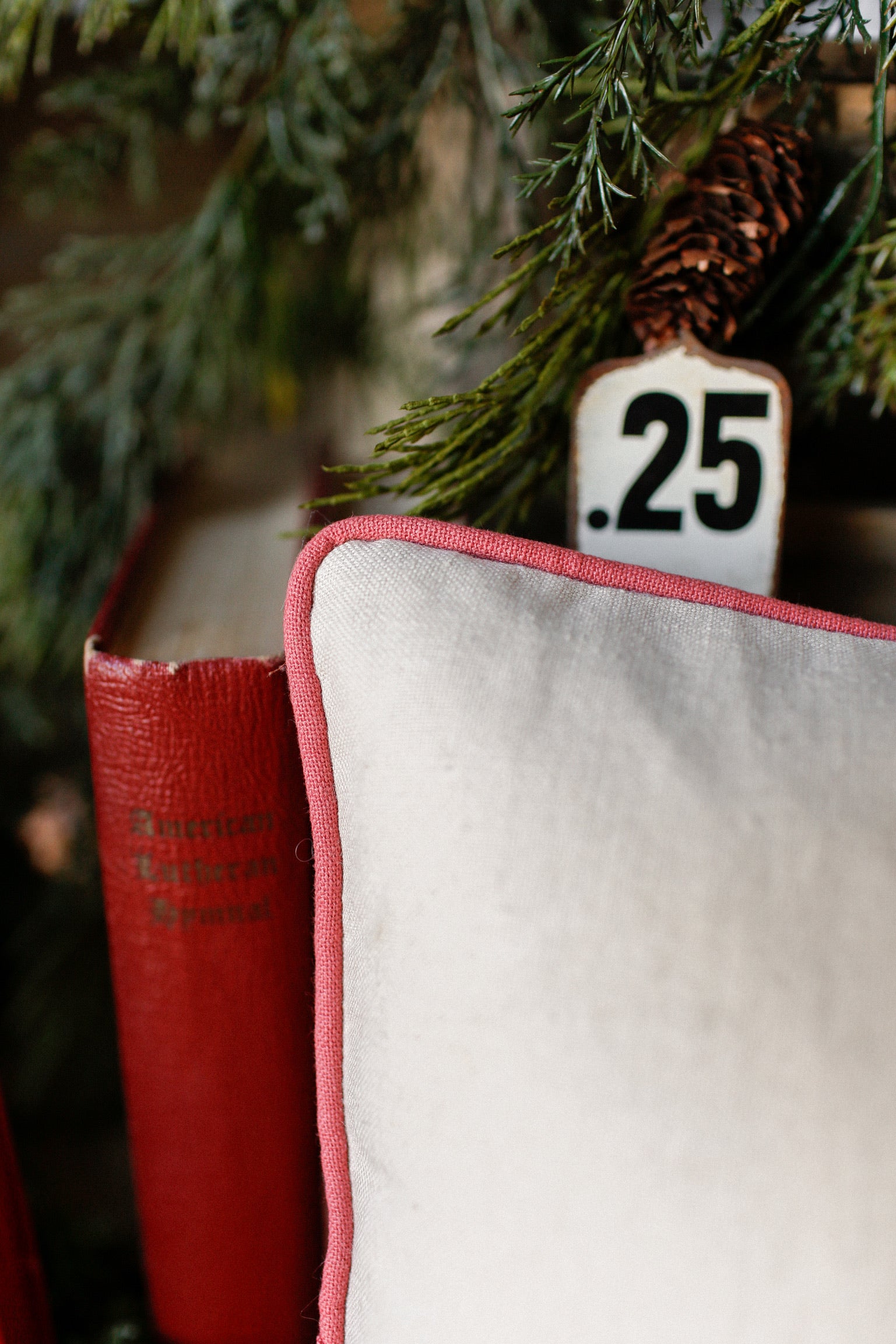 Embroidered Dog Sled Pillow