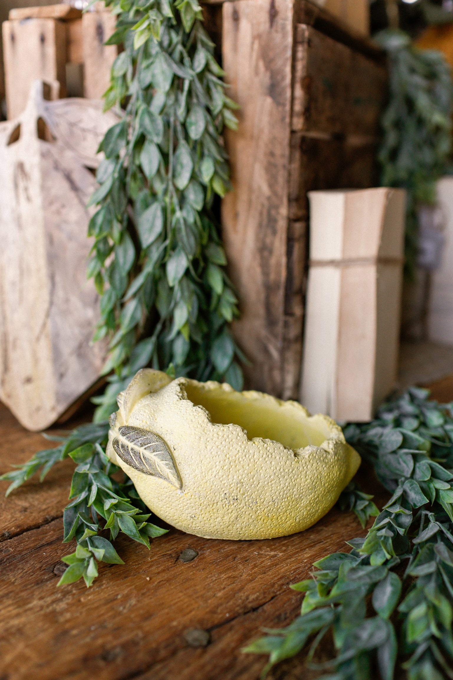 Lemon Concrete Planter
