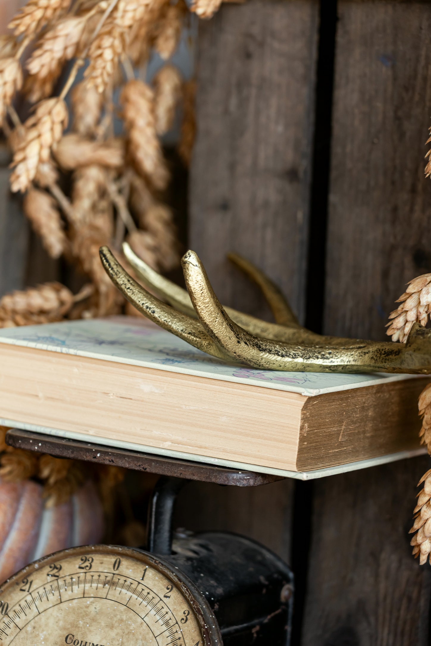 Gilded Cast Iron Antler Creative Co-Op