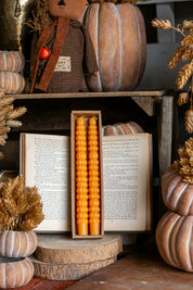 Unscented Orange Pumpkin Taper Candles Creative Co-Op