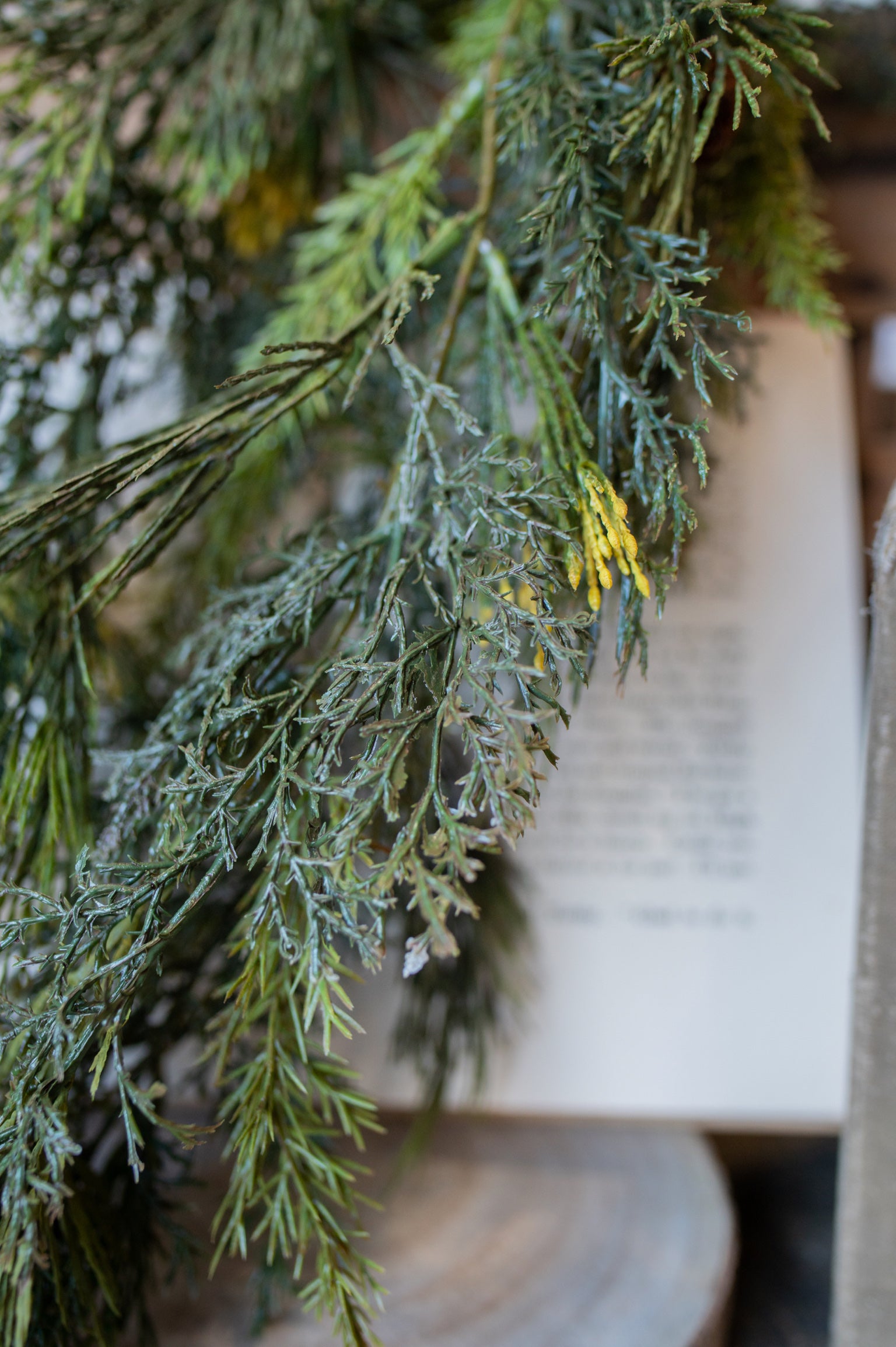 Mixed Cedar Hanging Stem