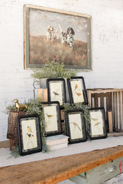 Bird Framed Picture The Little Burlap Barn®