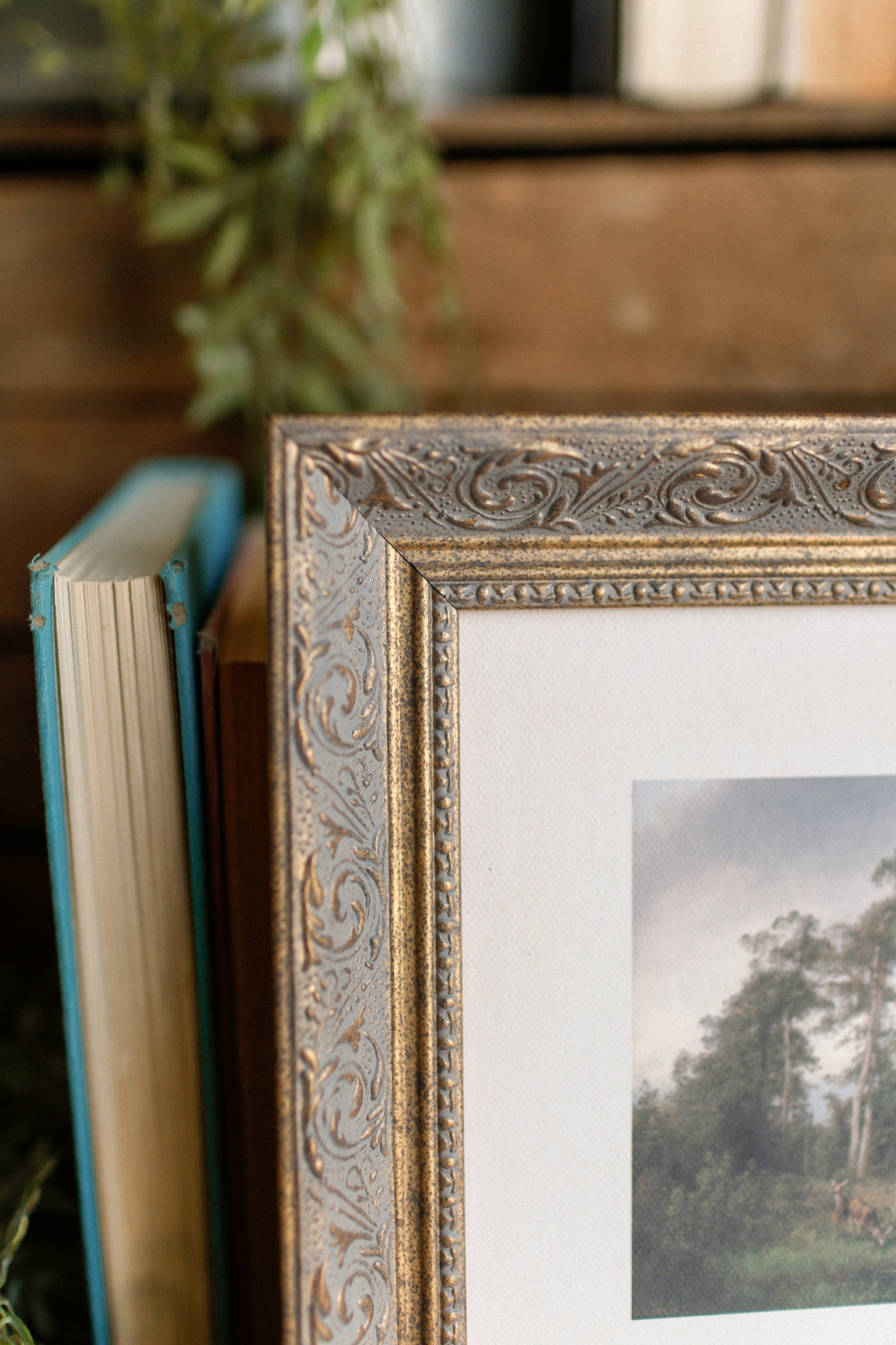 Live Oak Framed Art The Little Burlap Barn®
