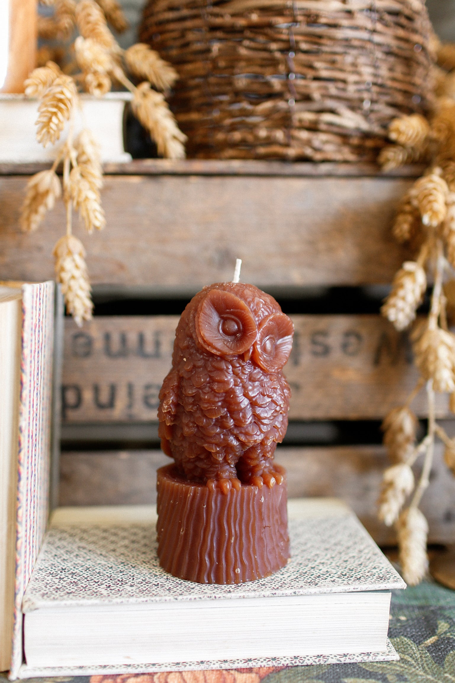 Owl Candle