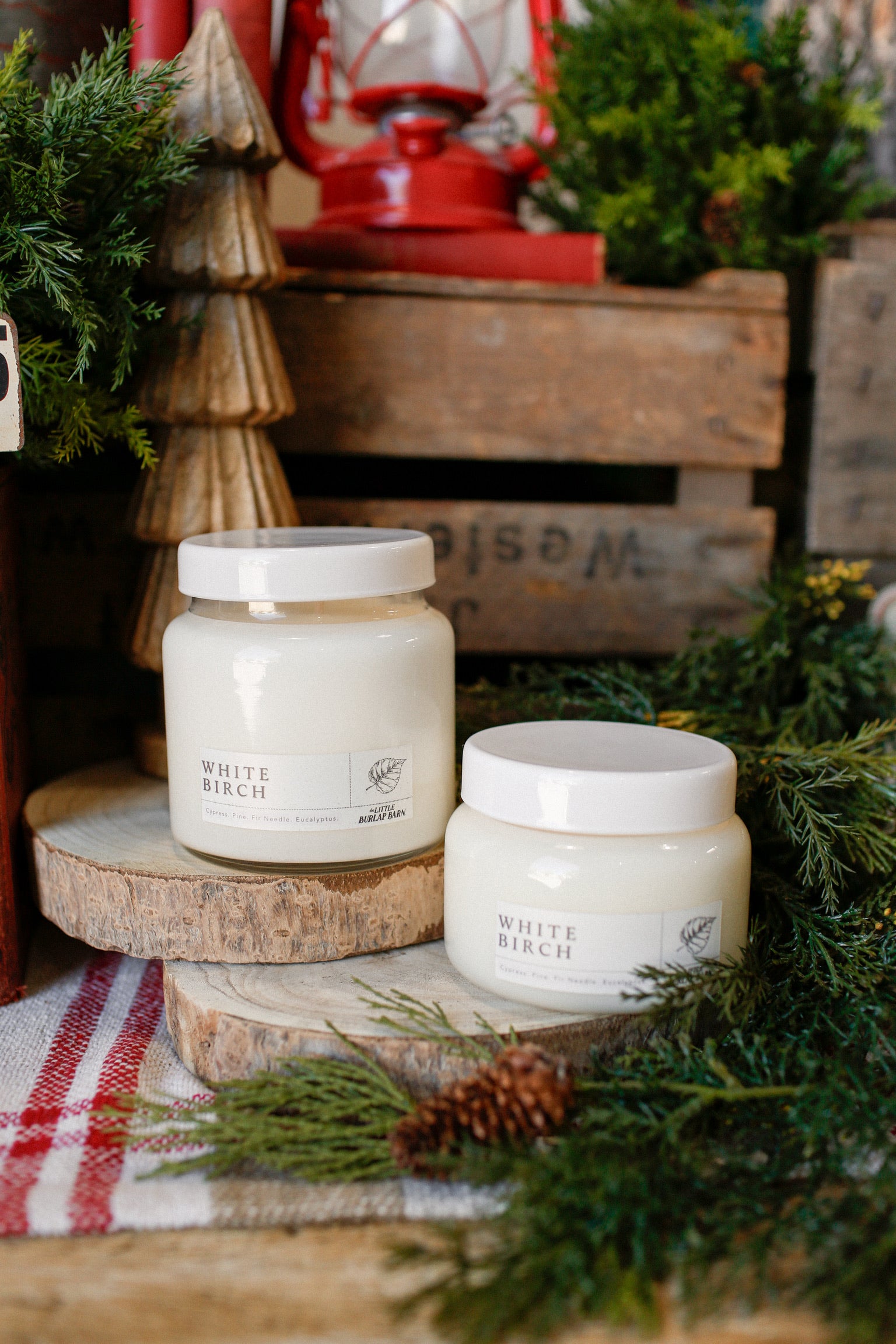 Apothecary Candle- White Birch