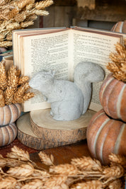 Vintage Concrete Squirrel The Little Burlap Barn