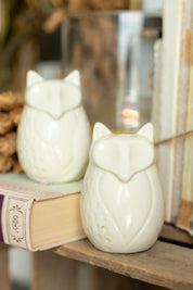 Vintage Fox Salt and Pepper Shakers The Little Burlap Barn®