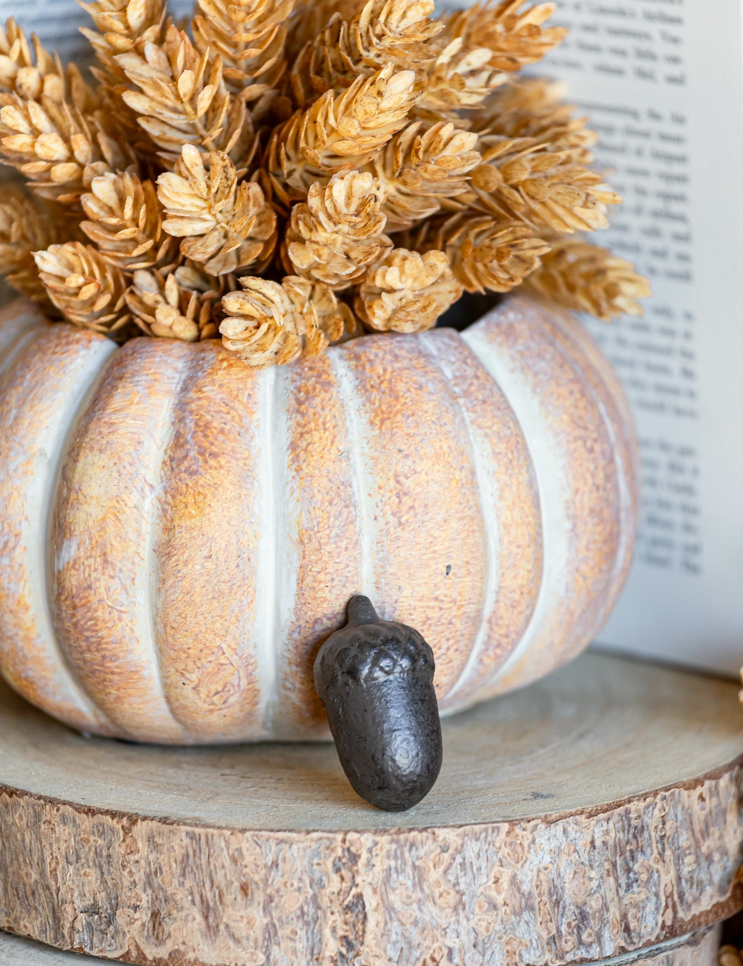 Cast Iron Acorn The Little Burlap Barn