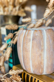 Squatty Cinderella Pumpkin Pot Abbott Collection