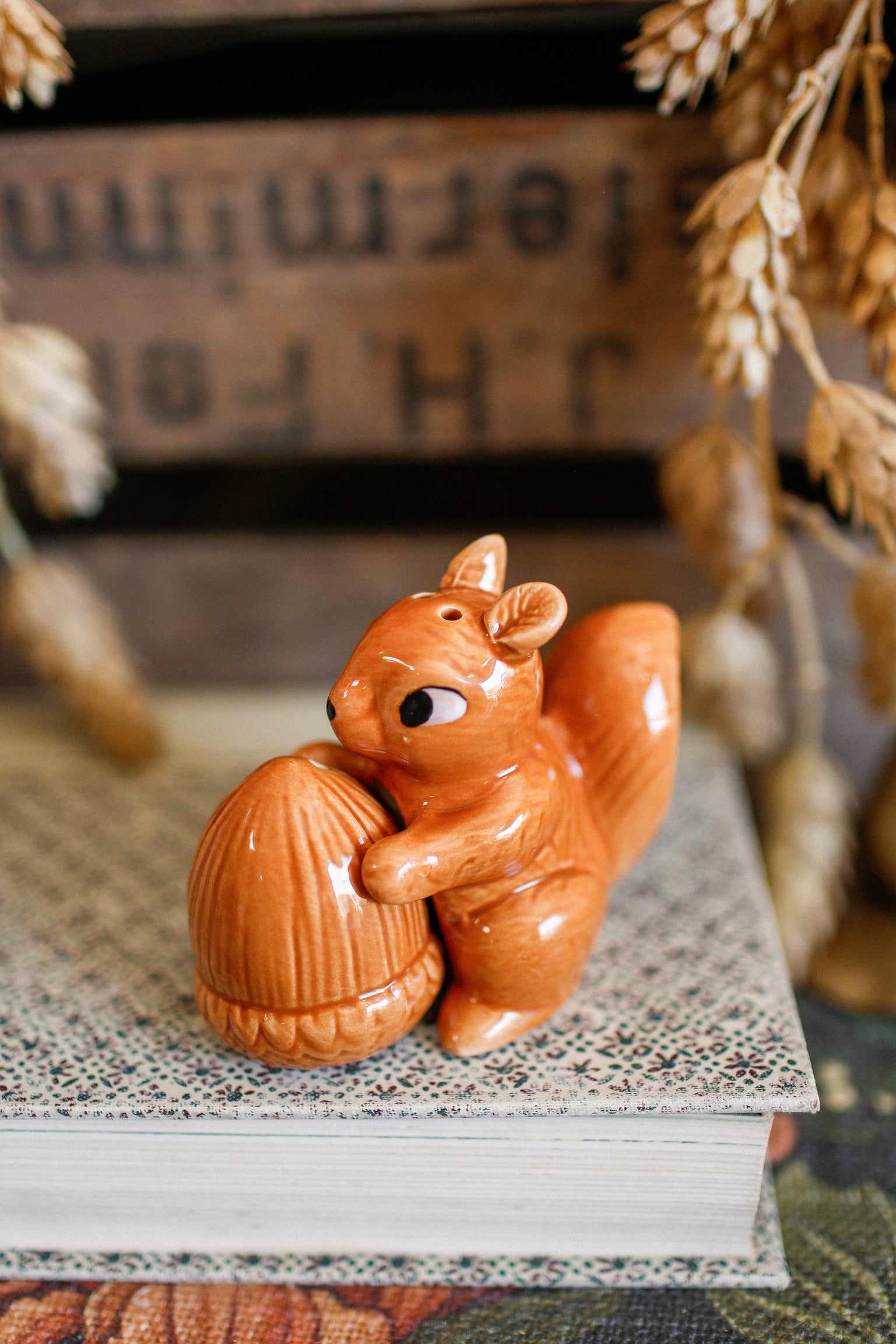 Squirrel And Acorn S&P Shakers