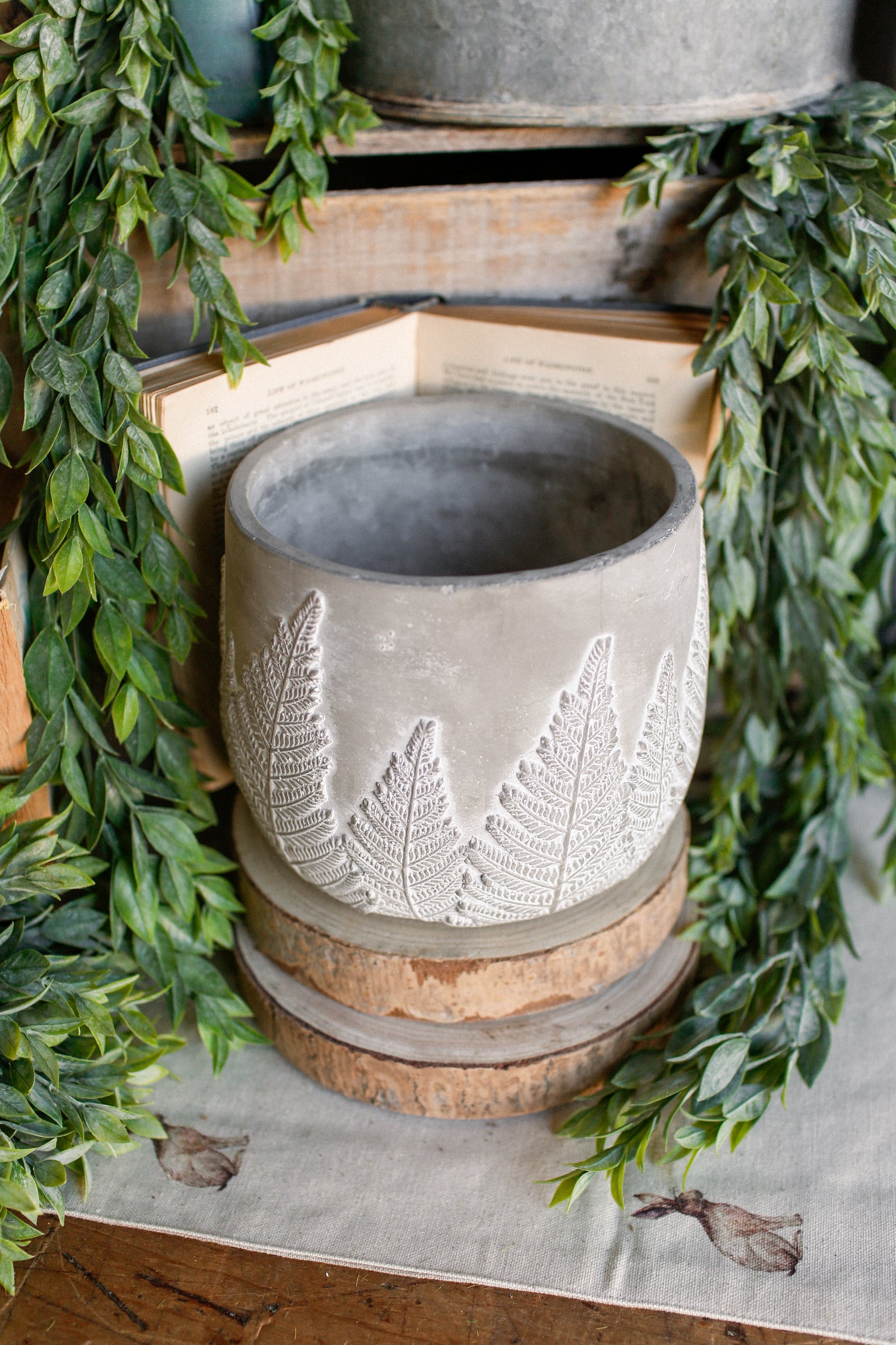 cement pot plants Cement Botanical Planter