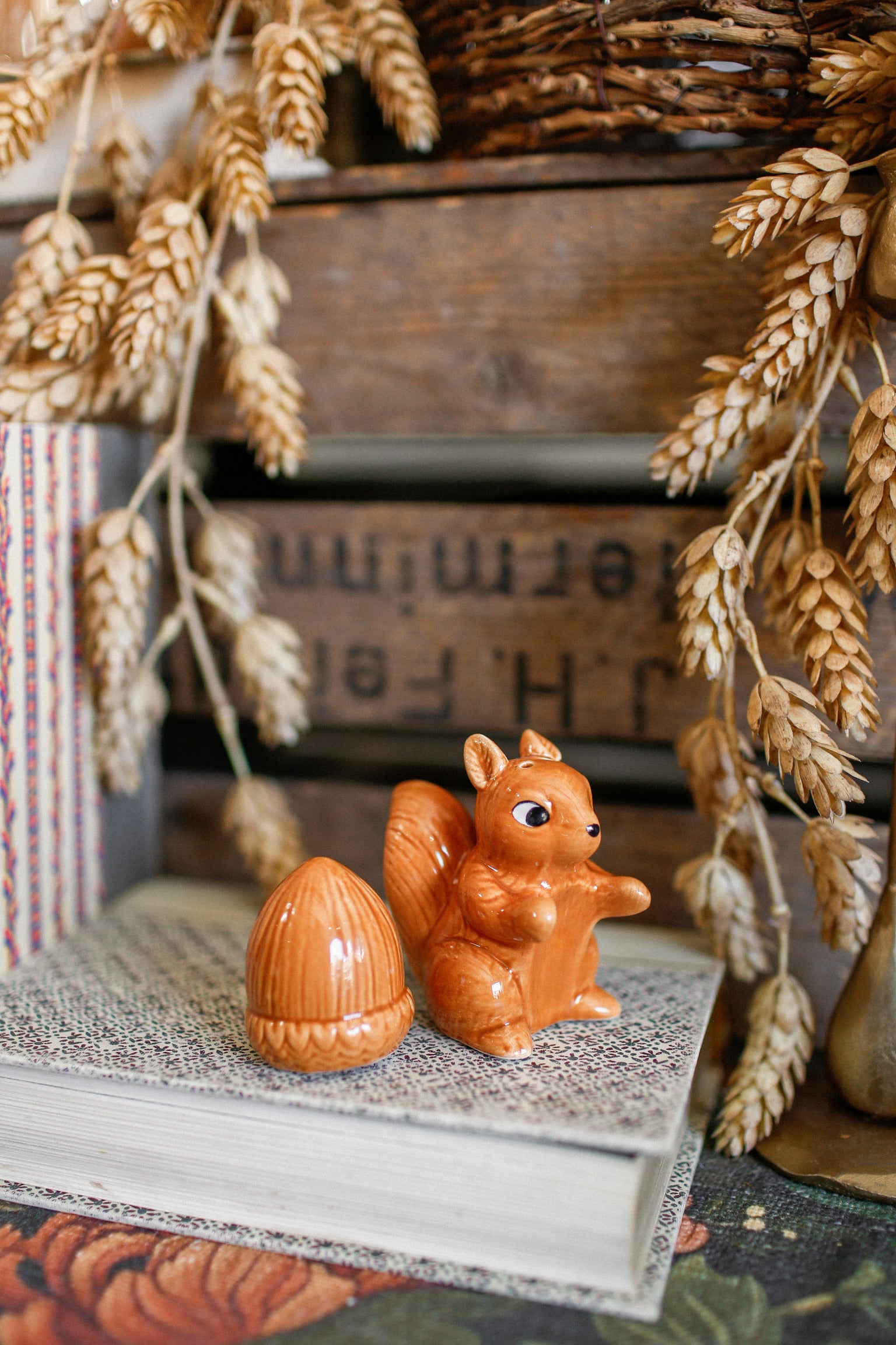 Squirrel And Acorn S&P Shakers