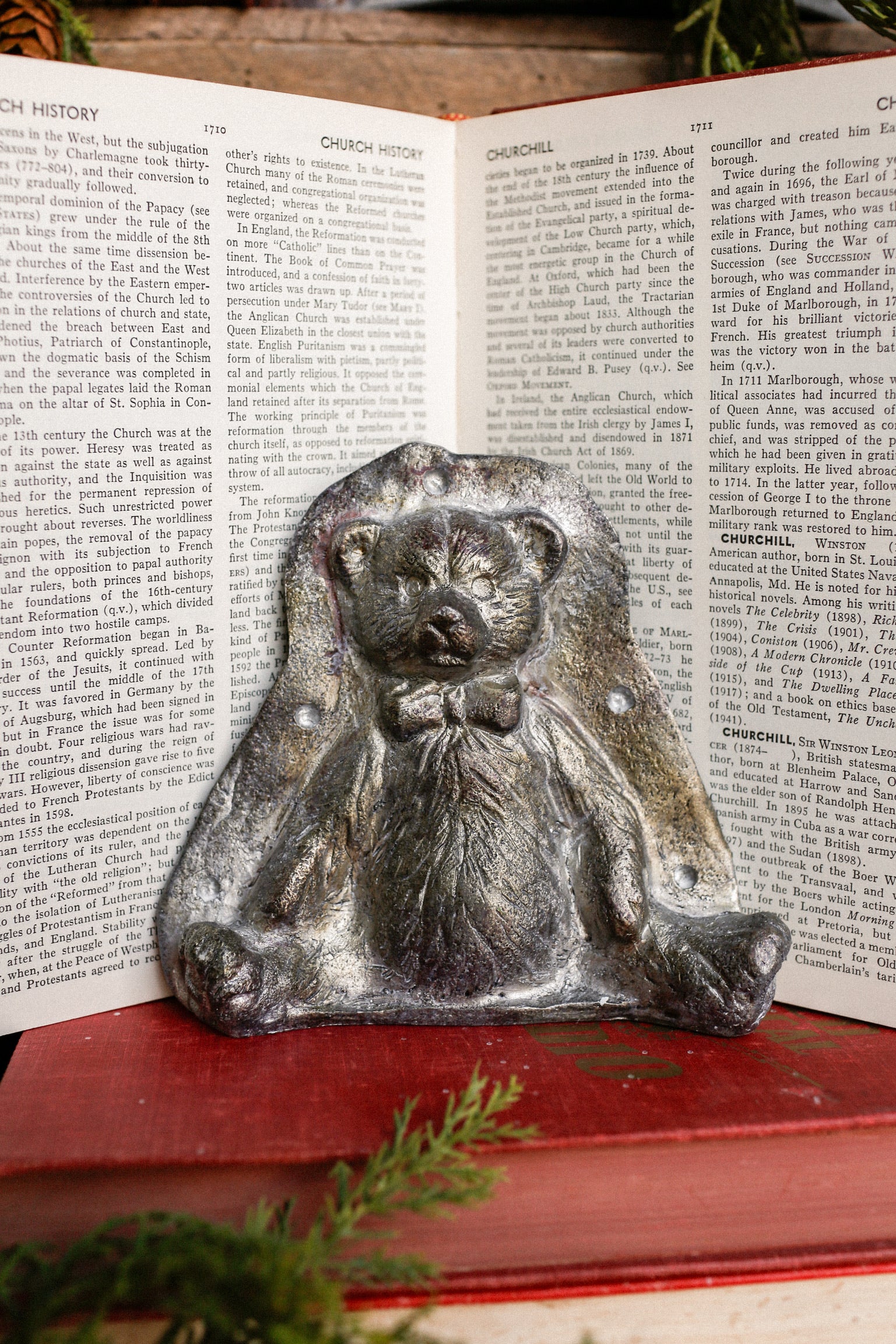 Teddy Bear Mold