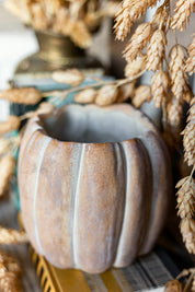 Squatty Cinderella Pumpkin Pot Abbott Collection