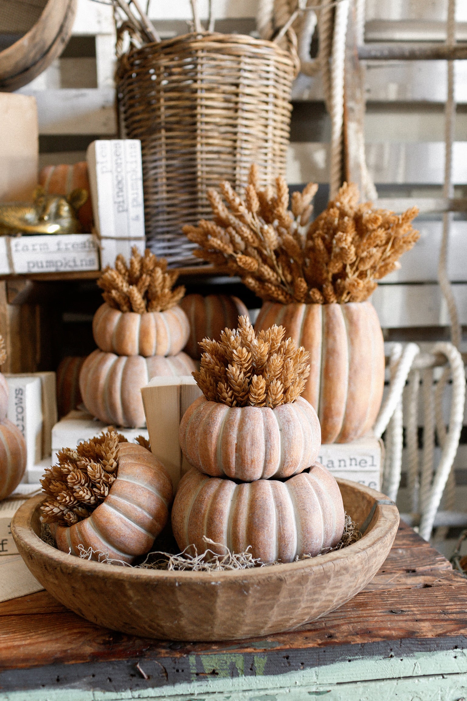 Cinderella Pumpkin Pot