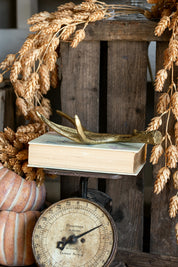 Gilded Cast Iron Antler Creative Co-Op