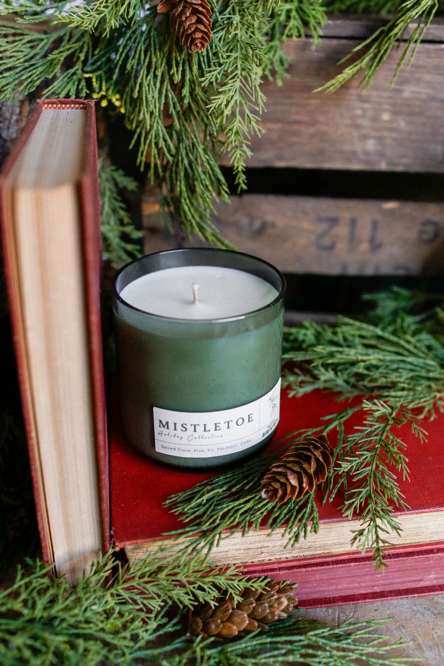 Olive Seeded Candle-Mistletoe