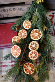 Dried Orange Slice Branch