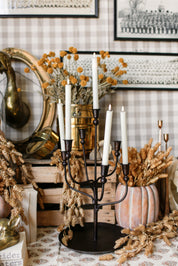 Adams Candelabra
