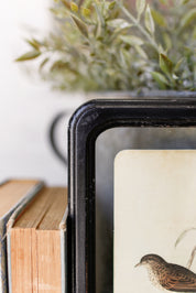 Bird Framed Picture The Little Burlap Barn®