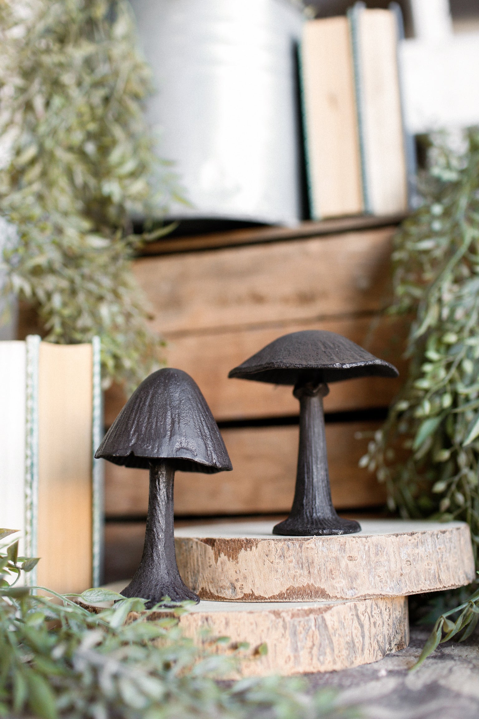 Cast Iron Mushroom