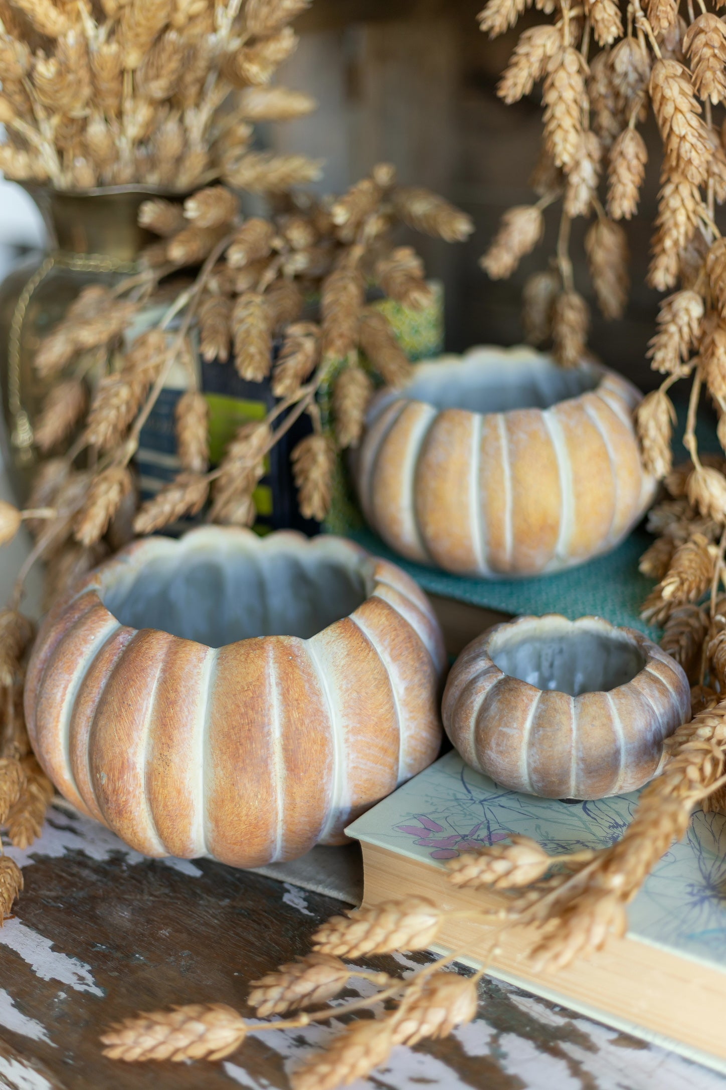Cinderella Pumpkin Pot The Little Burlap Barn
