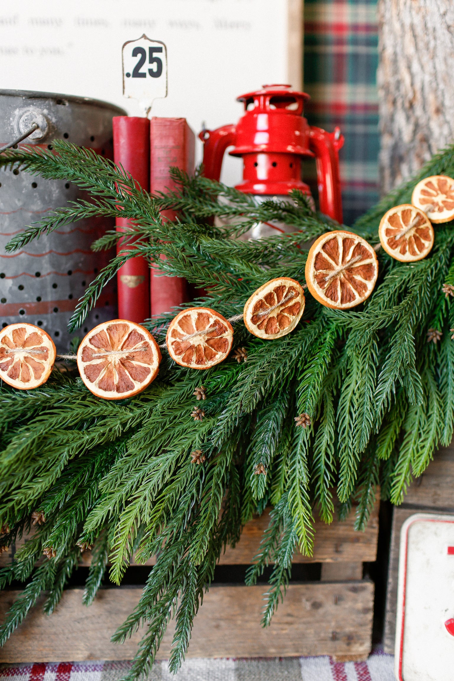 Dried Orange Slice Garland
