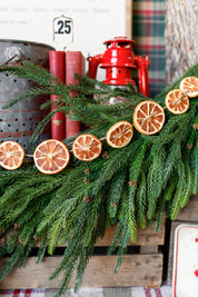 Dried Orange Slice Garland