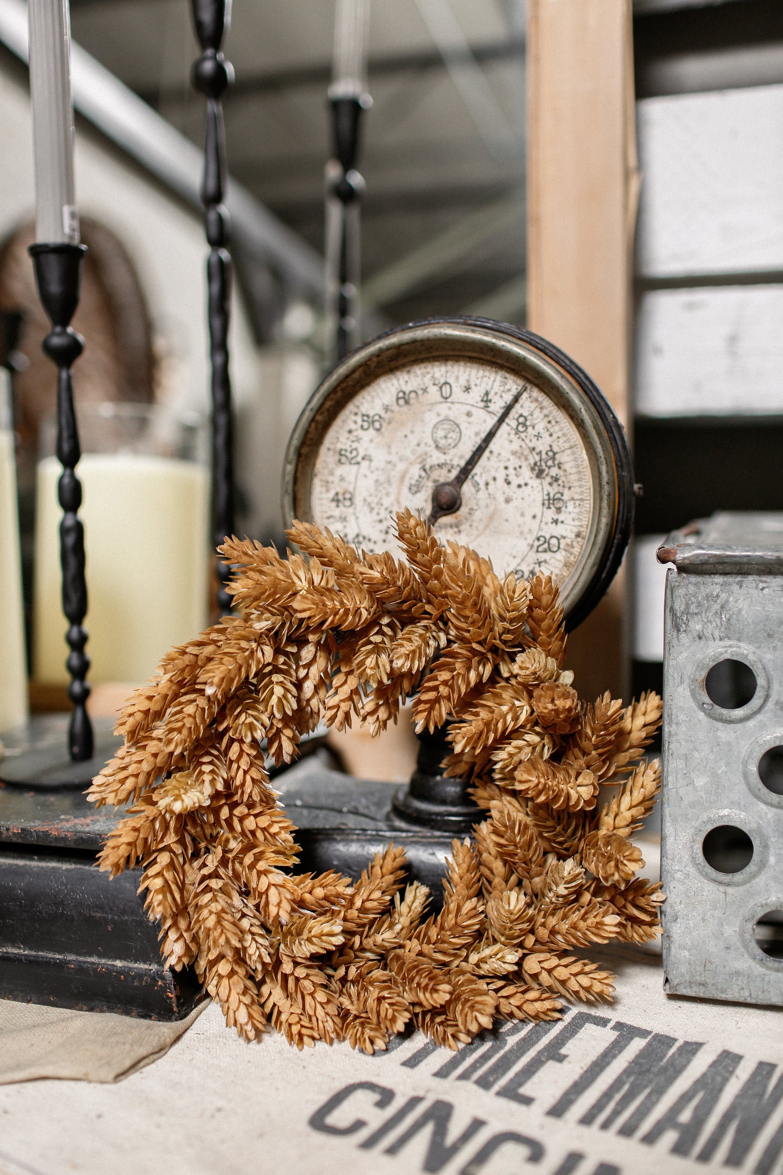Harvest Hops Mini Wreath