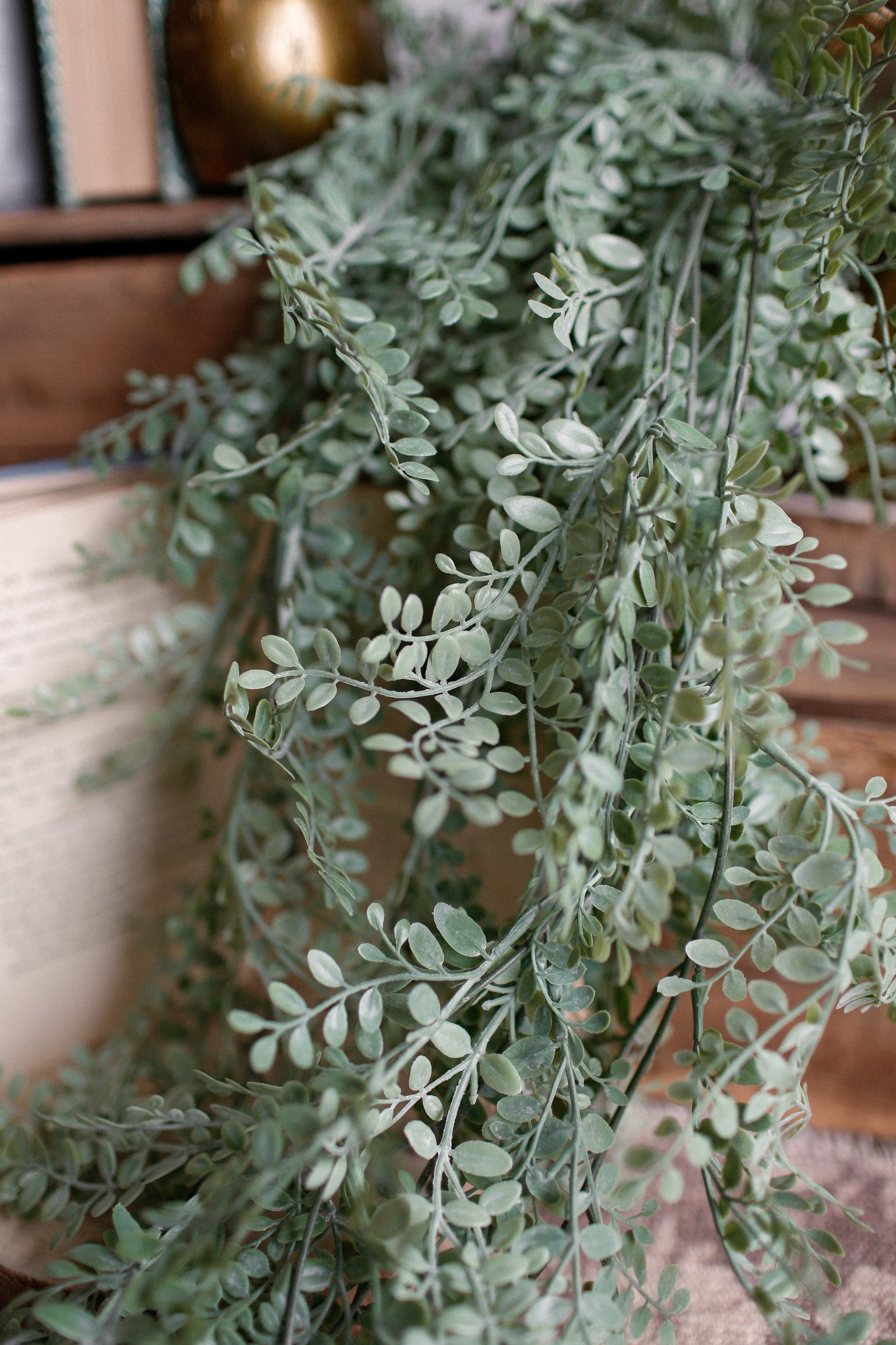 Trailing Vine Hanging Stem