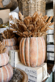 Cinderella Pumpkin Pot