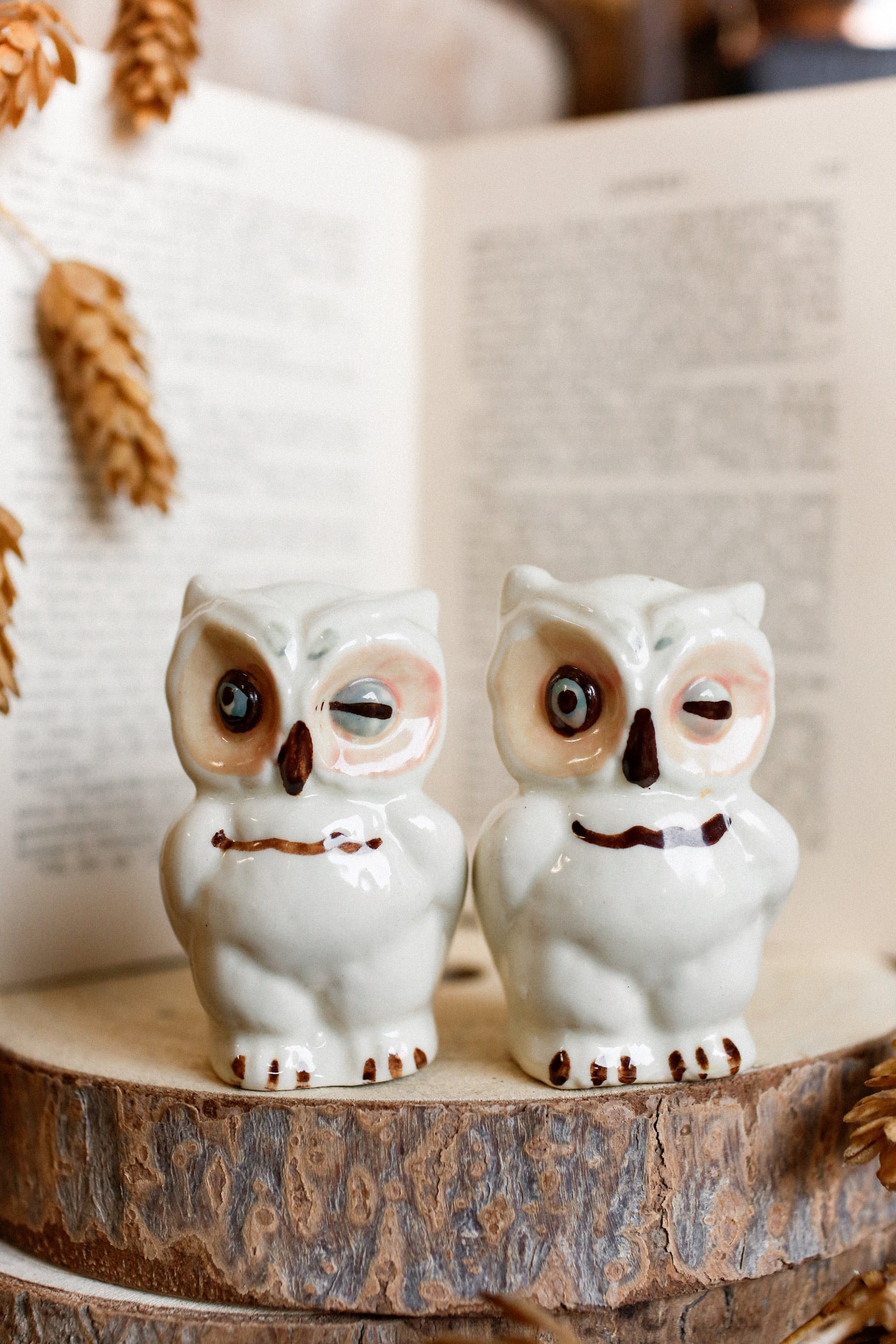 Vintage Ceramic Owl S&P Shakers