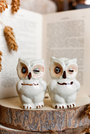 Vintage Ceramic Owl S&P Shakers