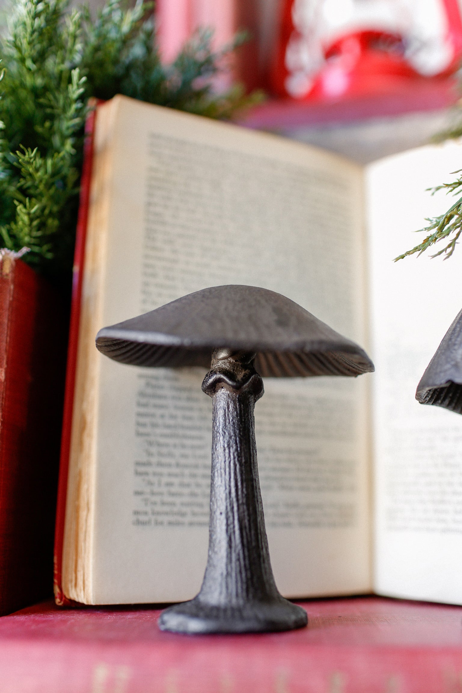 Cast Iron Mushroom