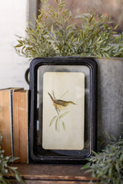 Bird Framed Picture The Little Burlap Barn®