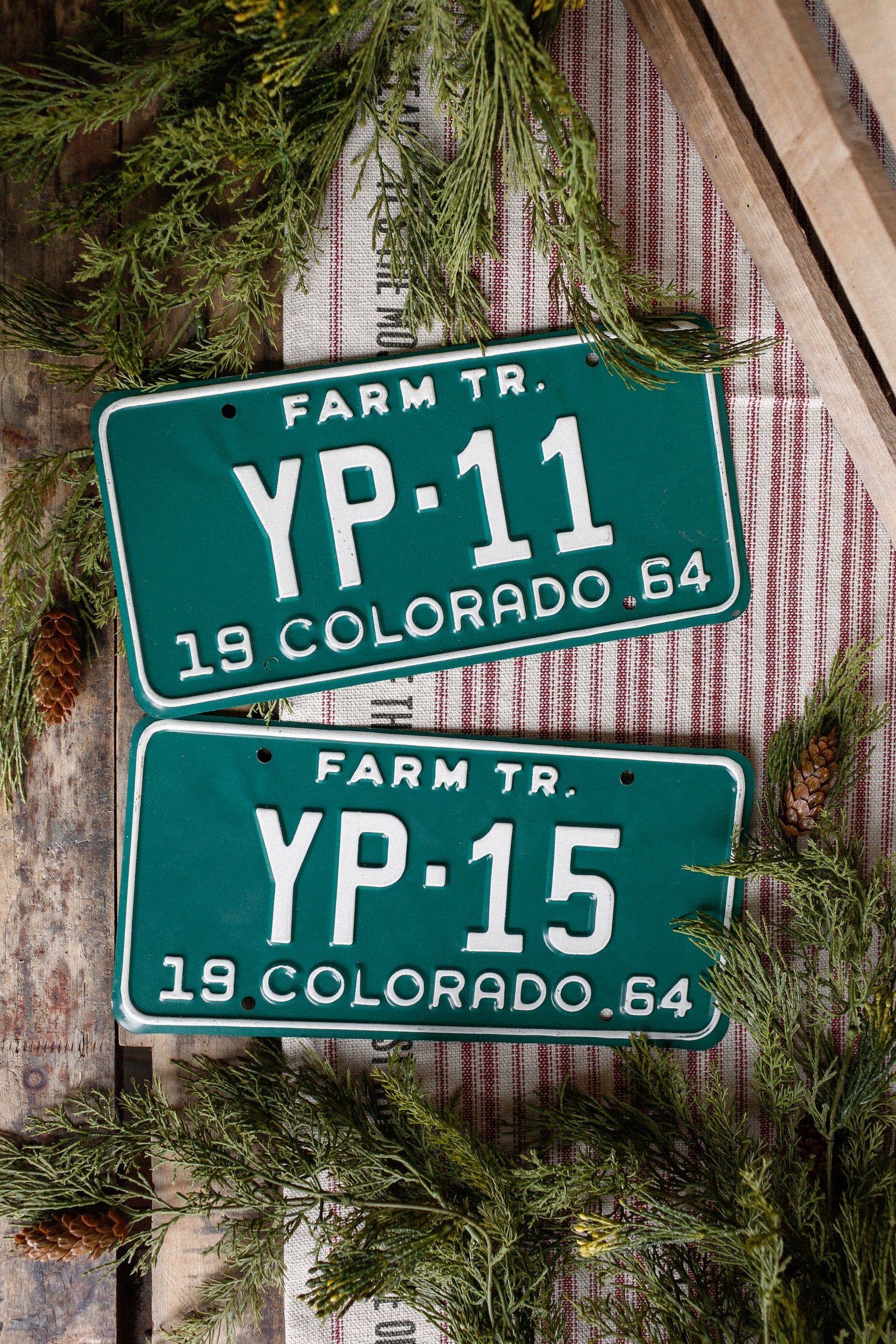 Vintage Green License Plate