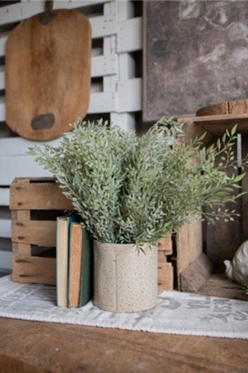 Mixed Sage Bush