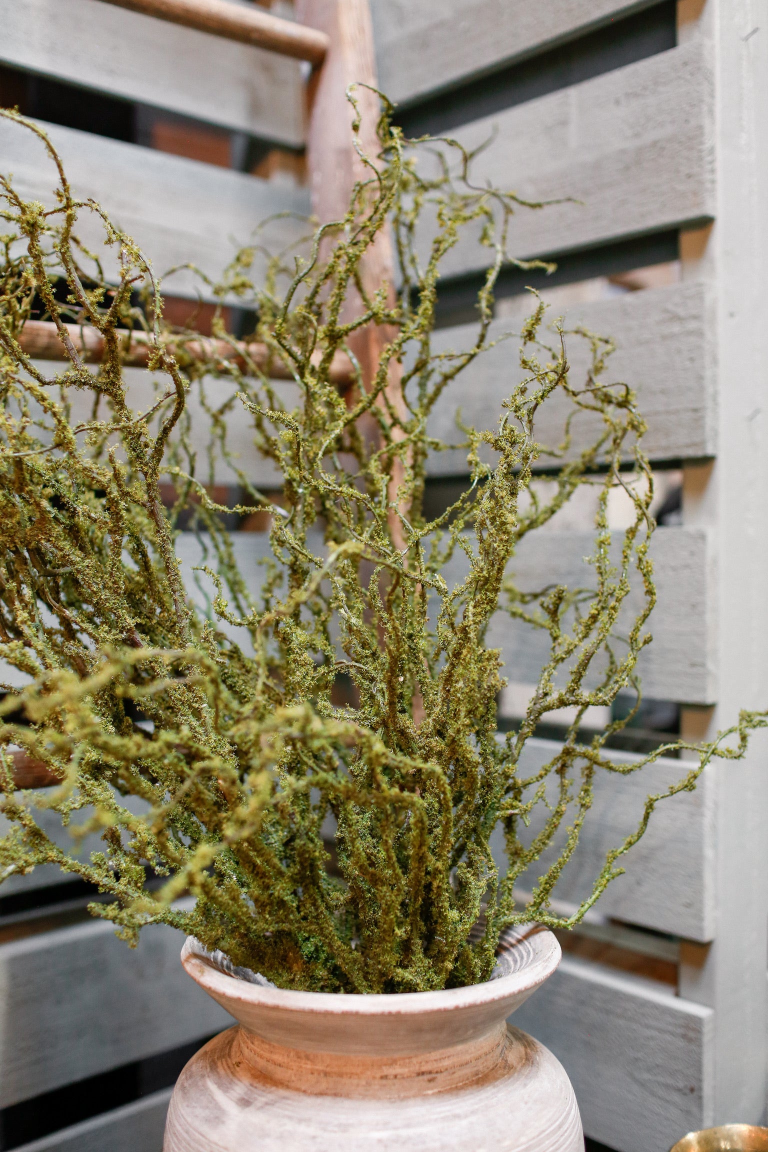 Meadow Moss Branch The Little Burlap Barn®