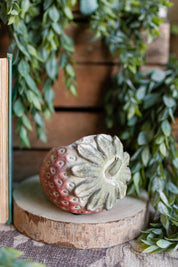 Mini Strawberry Laying Planter