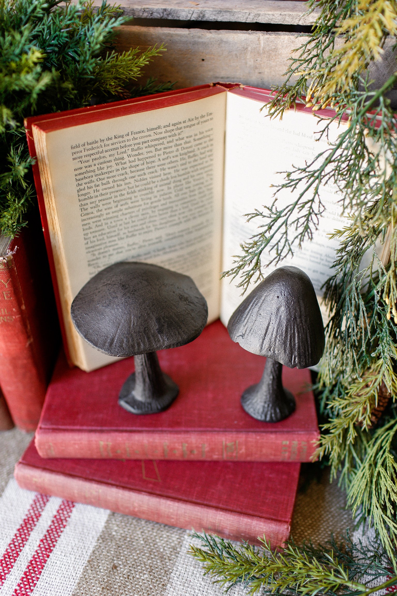 Cast Iron Mushroom