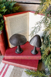 Cast Iron Mushroom