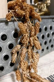 Harvest Hops Hanging Stem