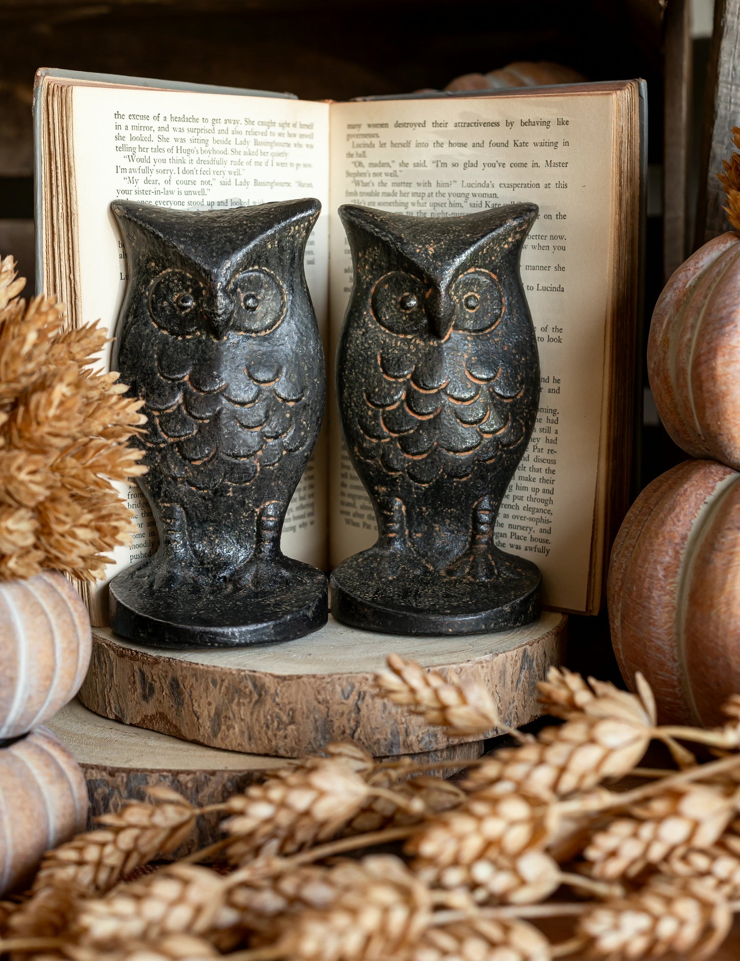 Cast Iron Owl Shaped Bookends Creative Co-Op