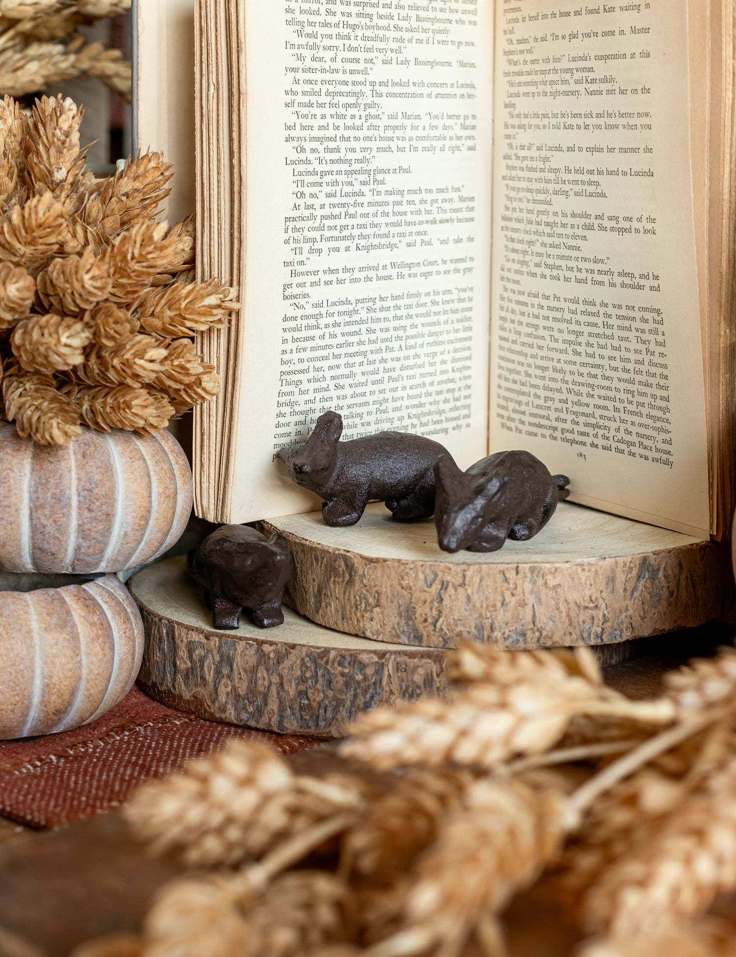 Cast Iron Mouse Creative Co-Op