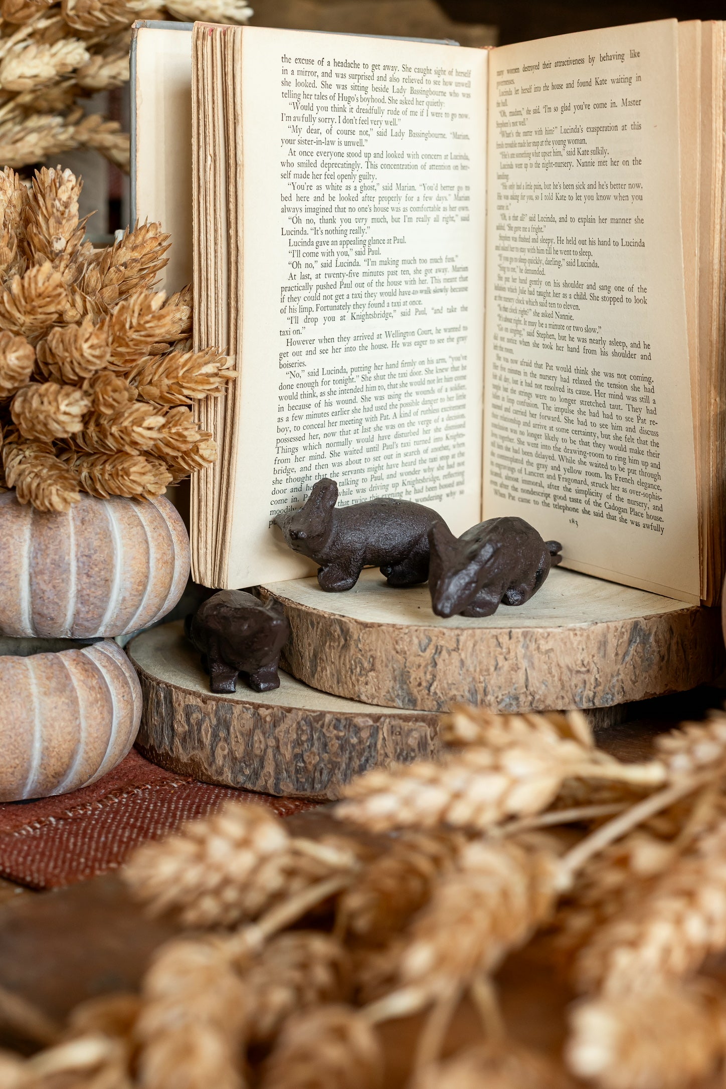 Cast Iron Mouse Creative Co-Op