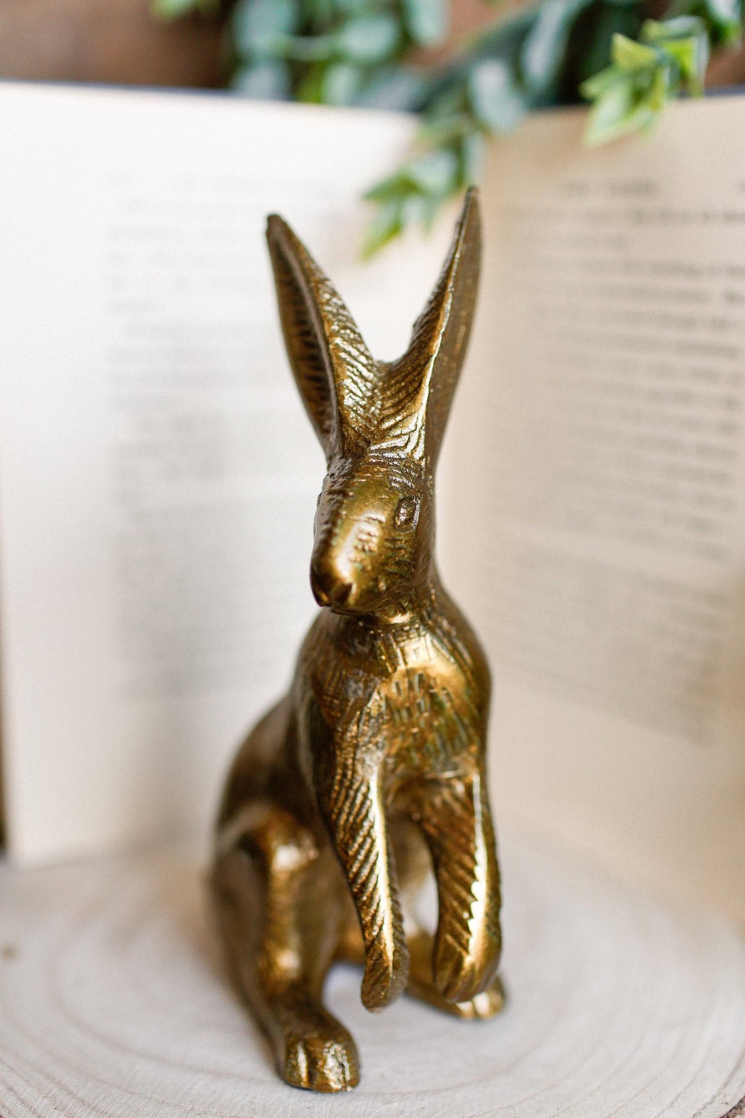 Gilded Bunny (L)