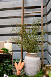 Meadow Moss Branch The Little Burlap Barn®