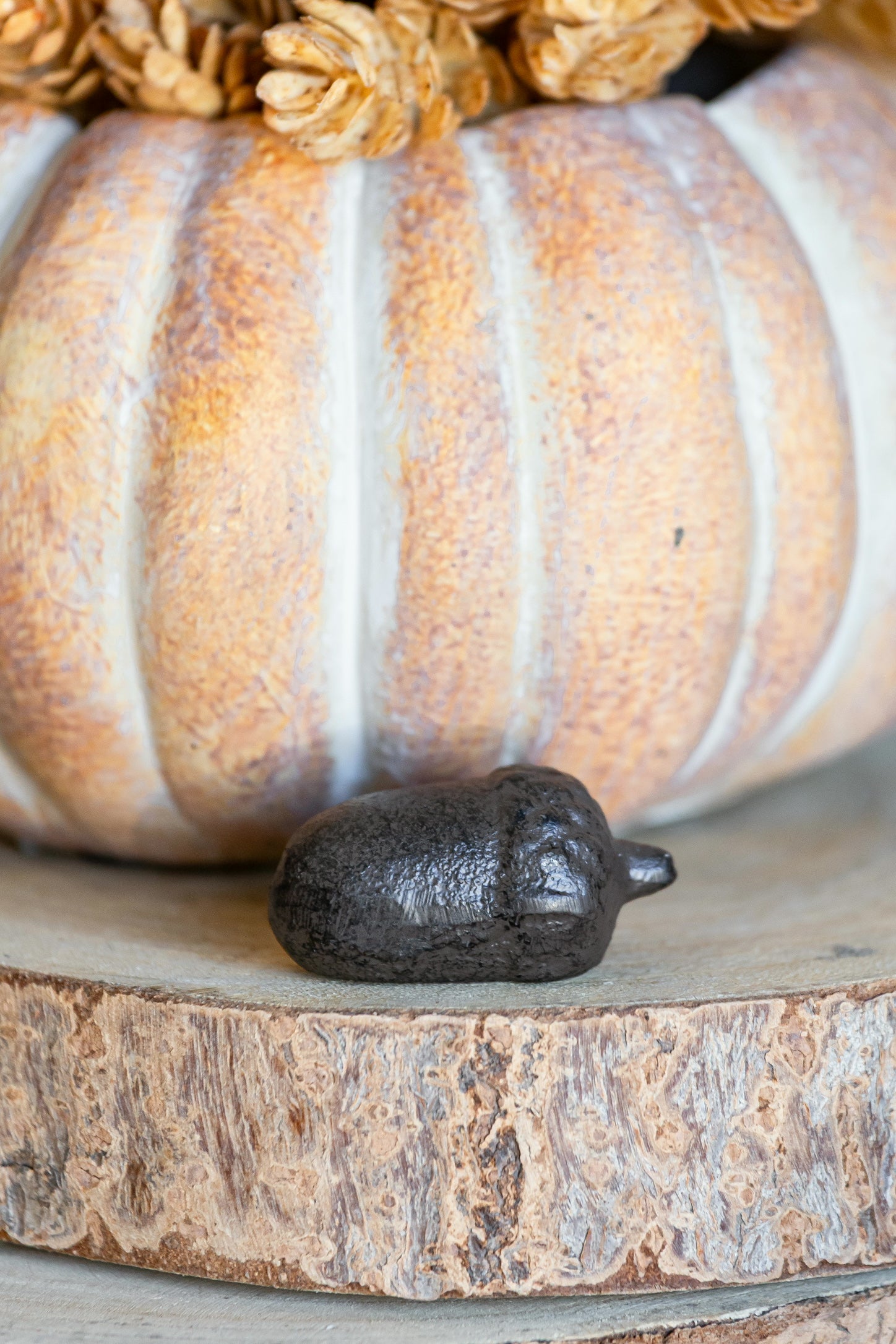 Cast Iron Acorn The Little Burlap Barn